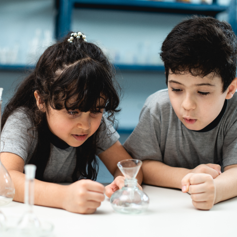 APOGEU JF DISCIPLINA